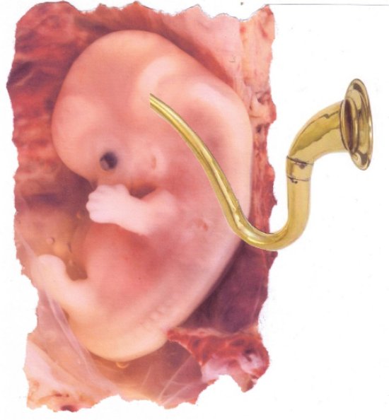 Lauschender Embryo